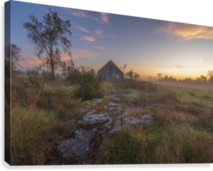 Misty Barn Canvas Print
