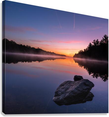 Magenta Magic Canvas Print