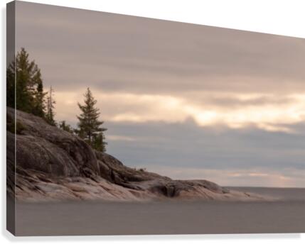 Pine Point Superior Canvas Print