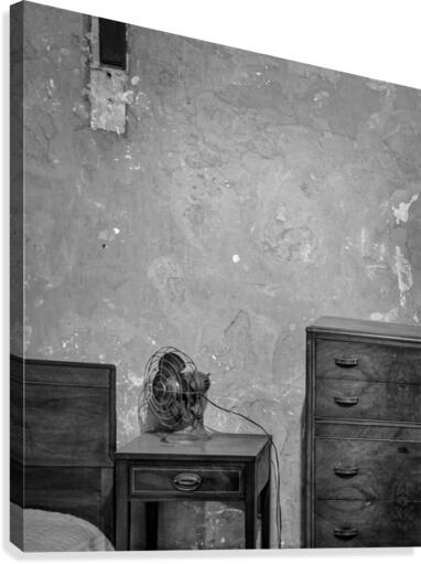 The Room Canvas Print