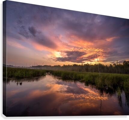 Brewing Canvas Print