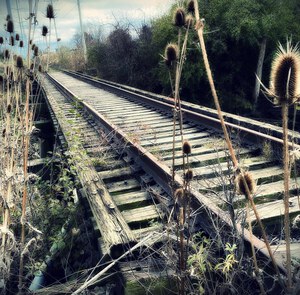 The path less traveled