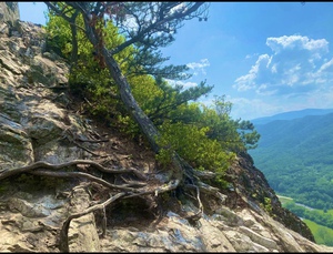 Seneca rocks Rooted Poetree