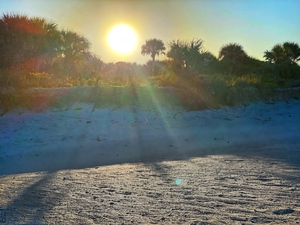 Some beach somewhere