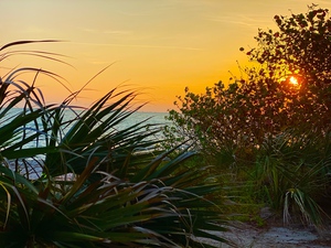 Sunrise on Anna Maria