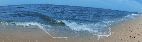 Cape May Print