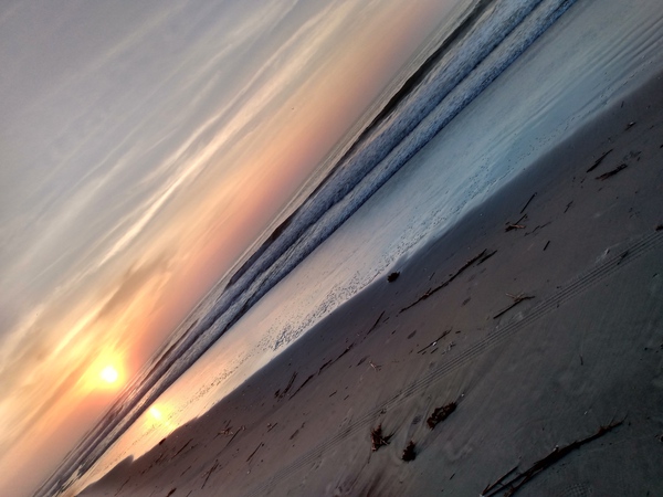 Wildwood Abstract Print
