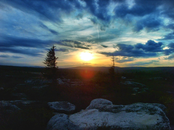 Dolly sods Print