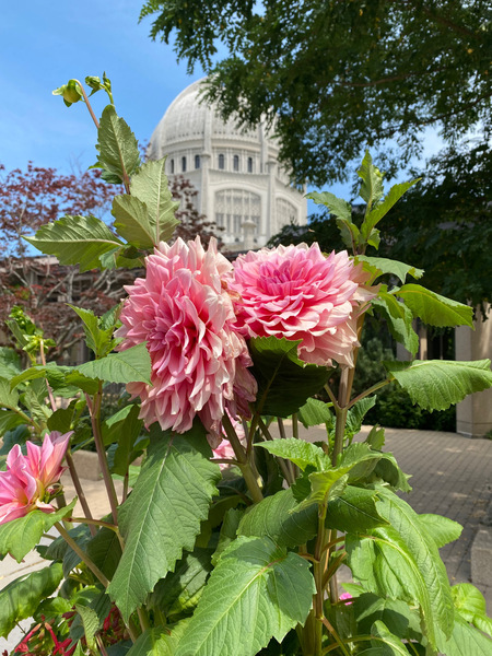 bahai temple Print