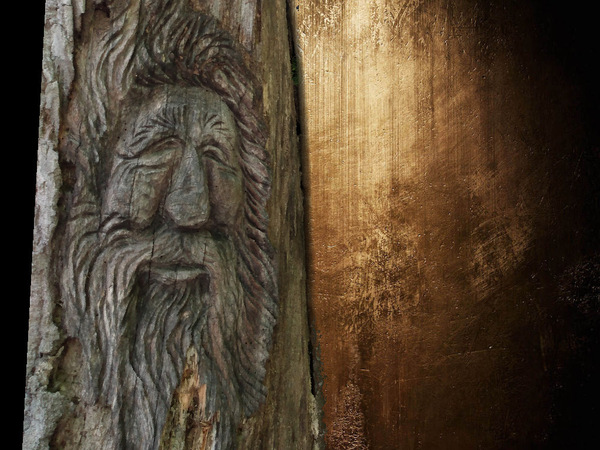 The Wise Wizard Print