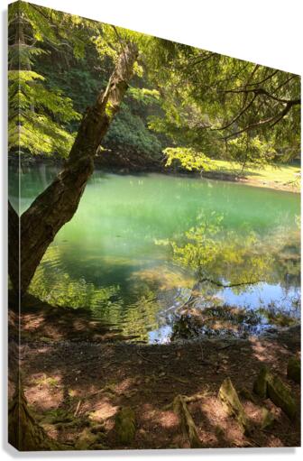 Zen Canvas Print