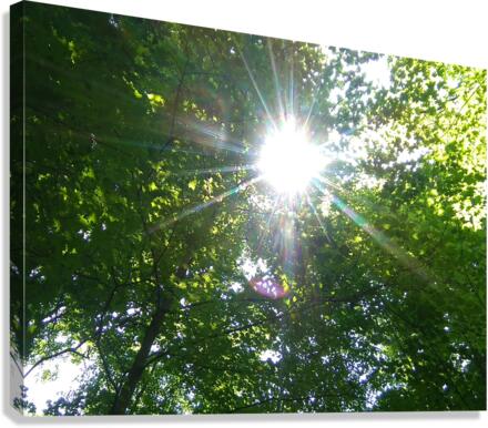 RAYS Canvas Print
