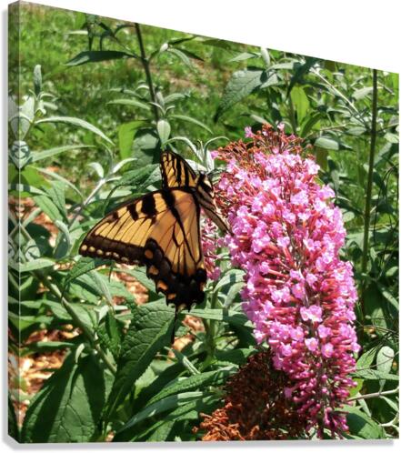 Flower Child Canvas Print