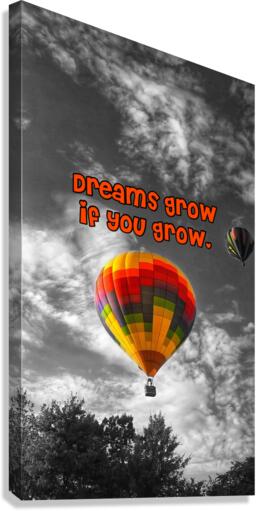 Dreamz Canvas Print