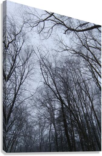 A long december Canvas Print
