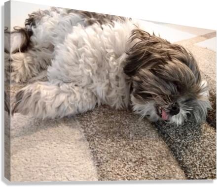 Sleeperoni Canvas Print