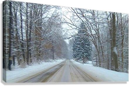 Backwoods snow Canvas Print