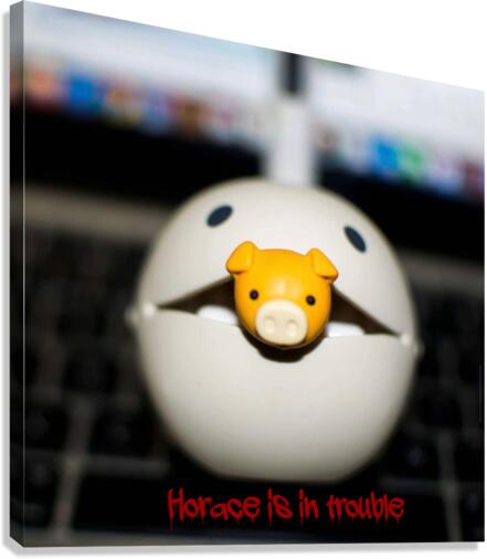 Horace  Canvas Print