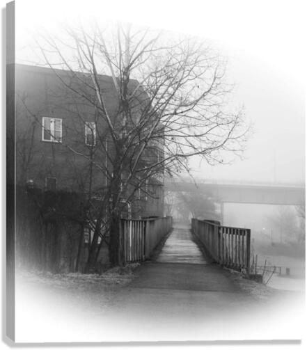 Monochrome Canvas Print