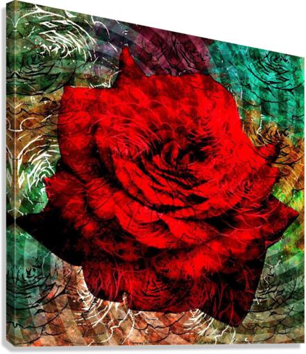 Rose manipulation  Canvas Print