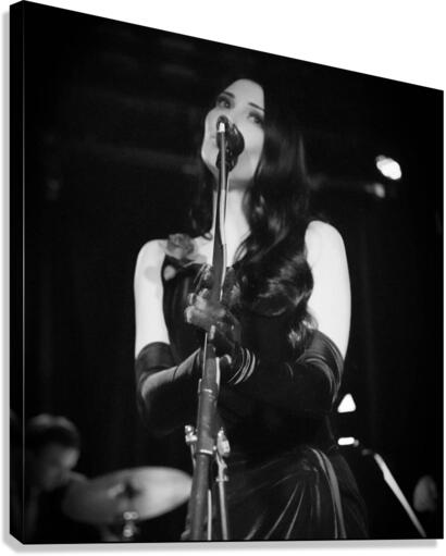 Singer Canvas Print