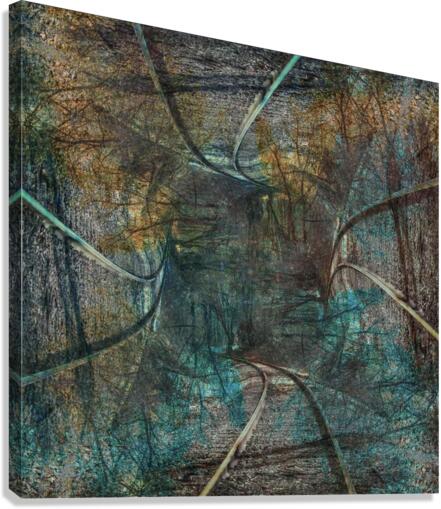 Symmetry  Canvas Print