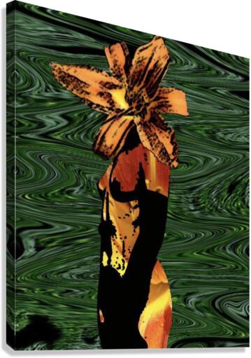 First photoshop Canvas Print