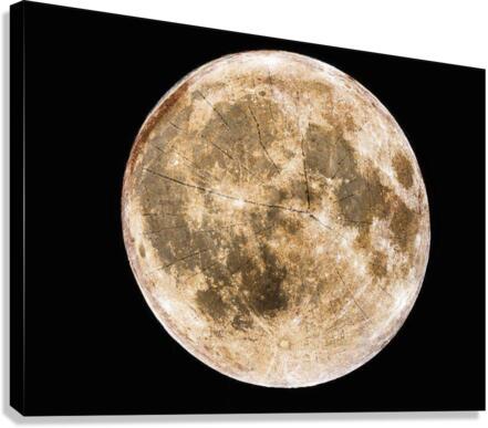 Juxtaposition  Canvas Print