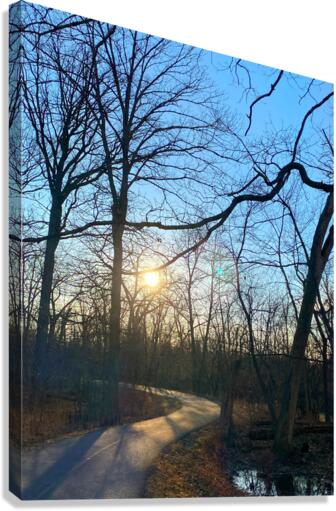 A Nice Walk Canvas Print