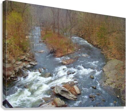 Choose your path Canvas Print