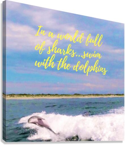 Dolphin Canvas Print