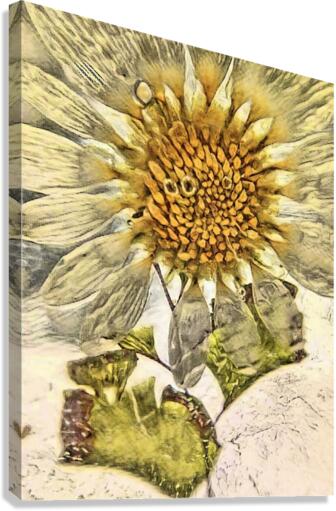 Pretty petals Canvas Print