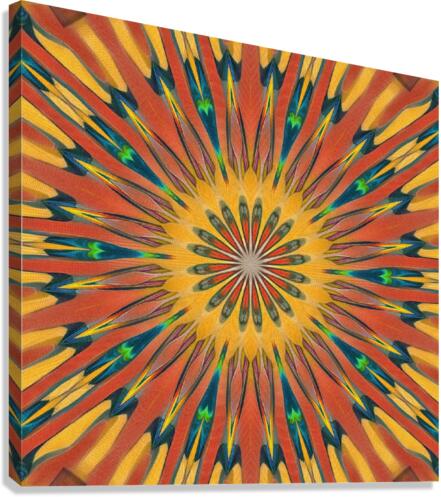 Sunbeam Canvas Print