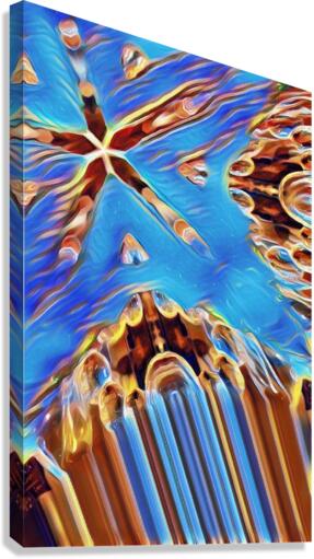 Ice Star Canvas Print