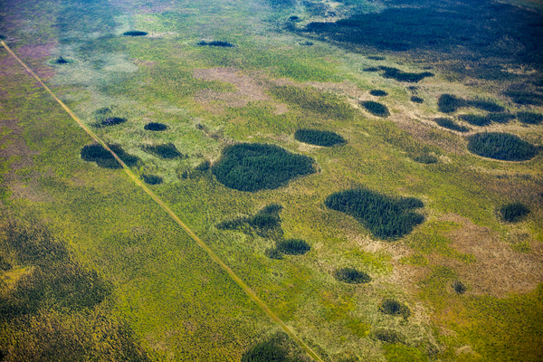 Aerial Patterns Print