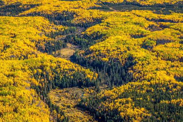 Autum Aerial View by Rick Boden