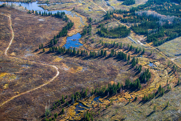Autumn Landscape by Rick Boden