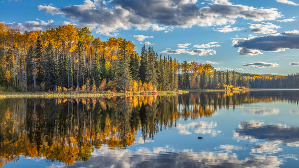 Engstrom Lake Print