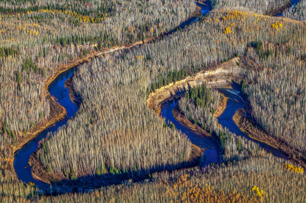 MacKay River Print