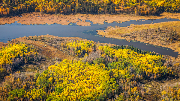 Northern Aerial by Rick Boden