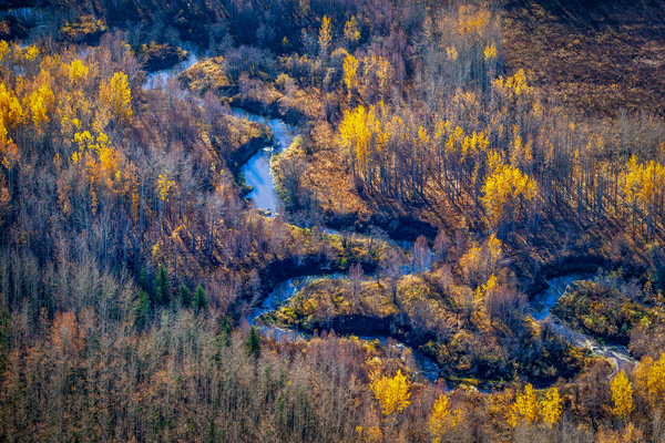 Winding Stream Print