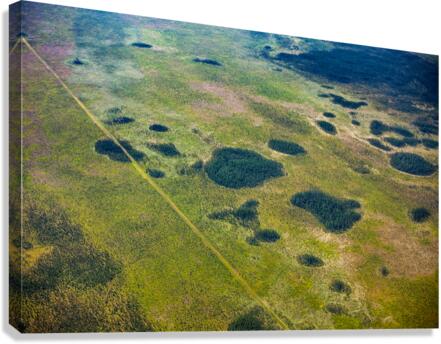 Aerial Patterns Canvas Print