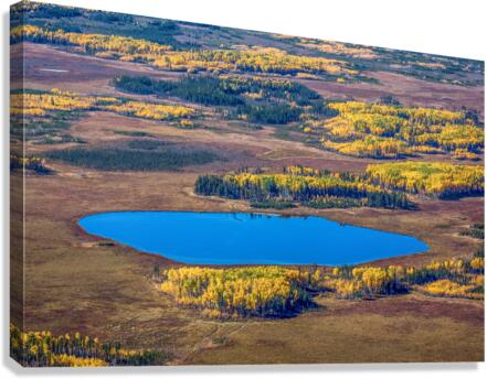 Tiny Lake Canvas Print