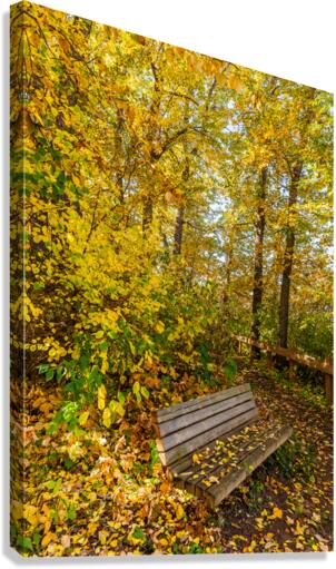 Park Bench Canvas Print