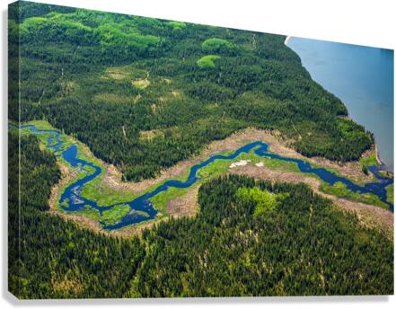 Wilderness Stream Canvas Print