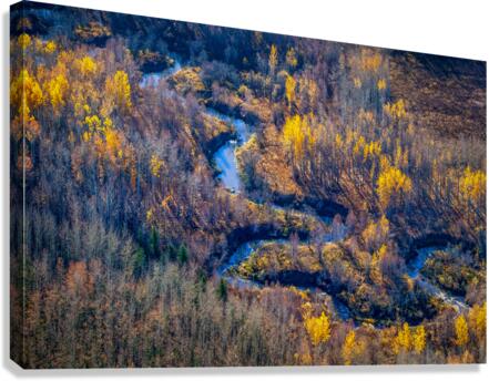 Winding Stream Canvas Print