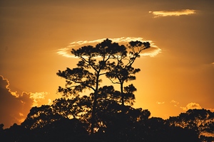 Sunset 2
