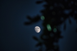 Moon