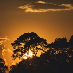 Sunset 1