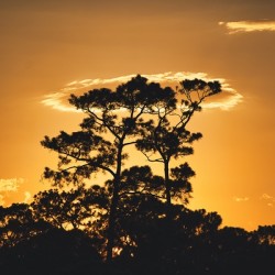 Sunset 2